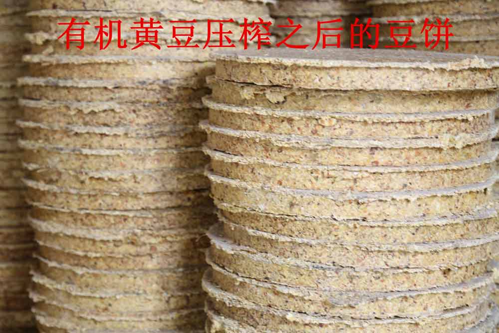 有機黃豆壓榨之后的豆餅,豆餅肥的原料